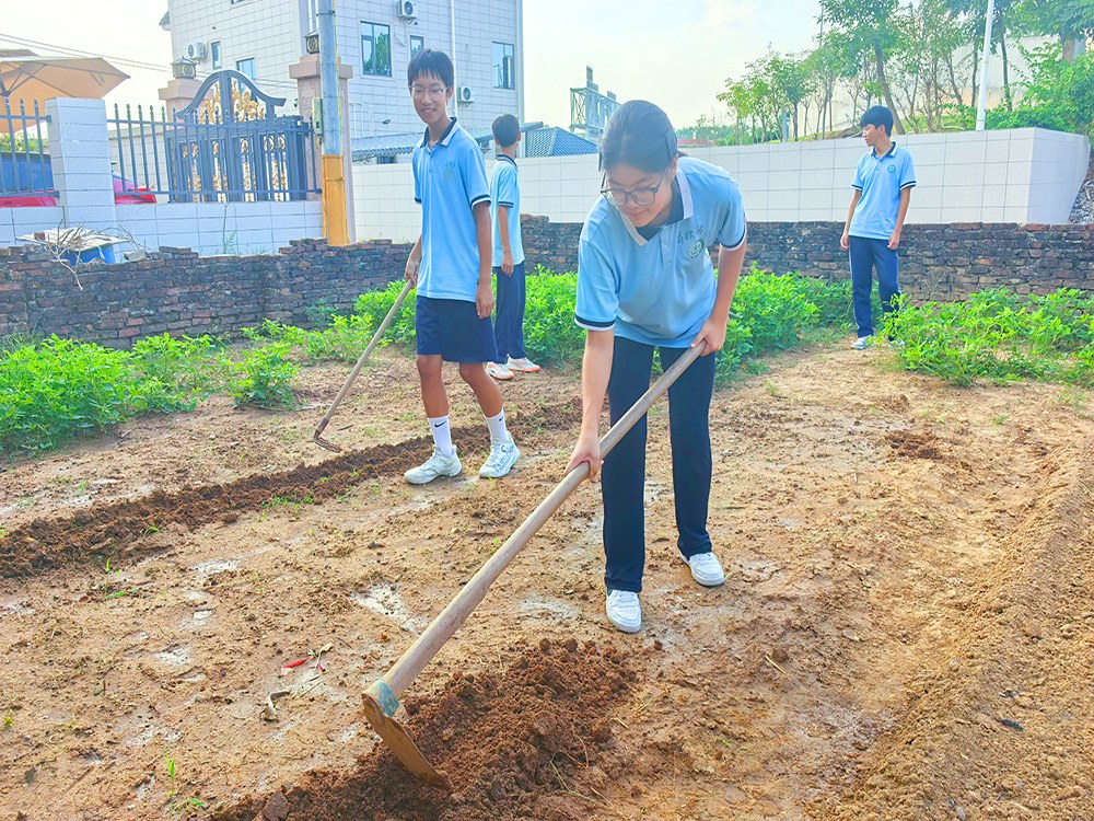 蚌埠青少年成长教育学校联系电话与择校指南